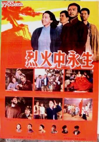 南特大学 Certificate